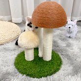 Sisal Cat Scratcher Is Durable And Does Not Swarf Cat Scratcher
